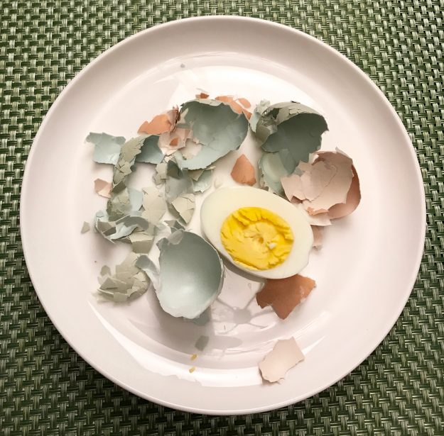 Farm Eggs Peeled